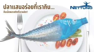 Microbeads-pollution